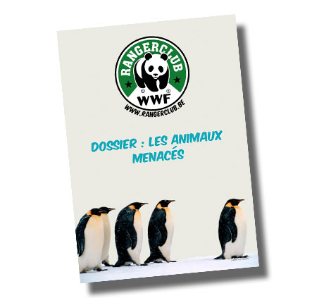 WWF animaux voie de disparition FR banner