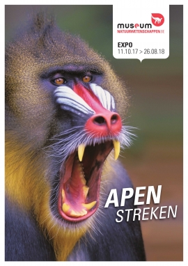 MUSEUM Expo Apenstreken NL