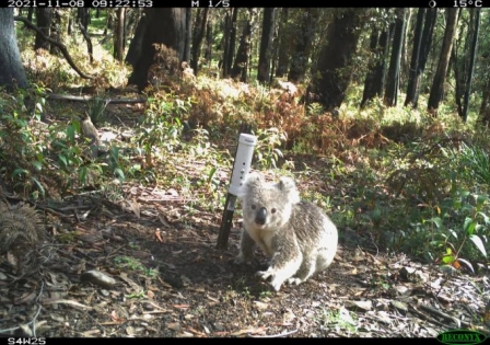 Science for Wildlife4