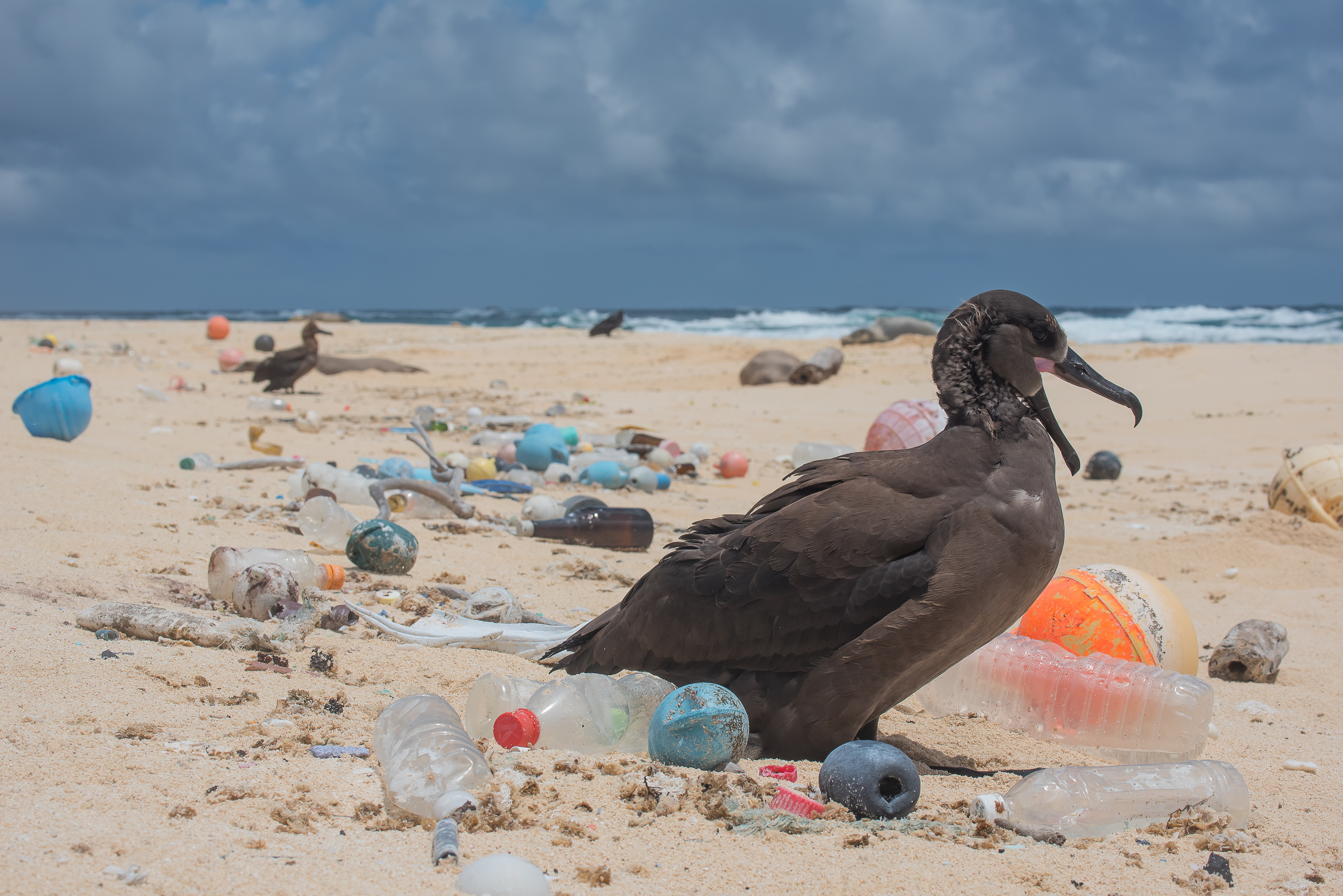 WWF Rangerclub The Ocean Cleanup 3