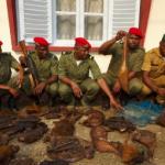 Sept hommes en uniformes de l'armée avec berets rouges et berets verts exposent sur le sol des carcasses d'animaux