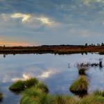 Etendue d'eau, ciel nuageux et herbes hautes