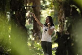 Femme portant un t-shirt WWF récoltant des informations en milieu forestier