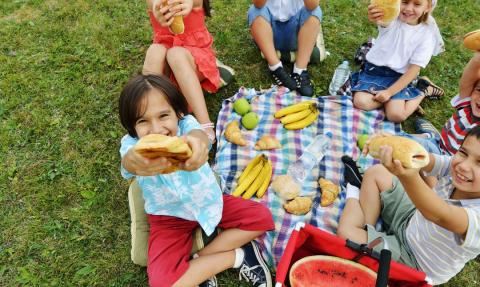 picnic