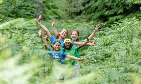 groupe d'enfants dans les bois