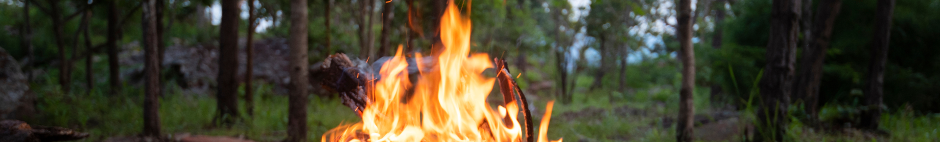 feu de camp en forêt